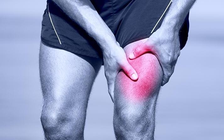 Regeneración Muscular