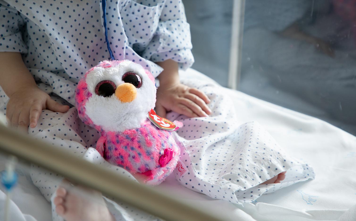 Visita hospitales 2018