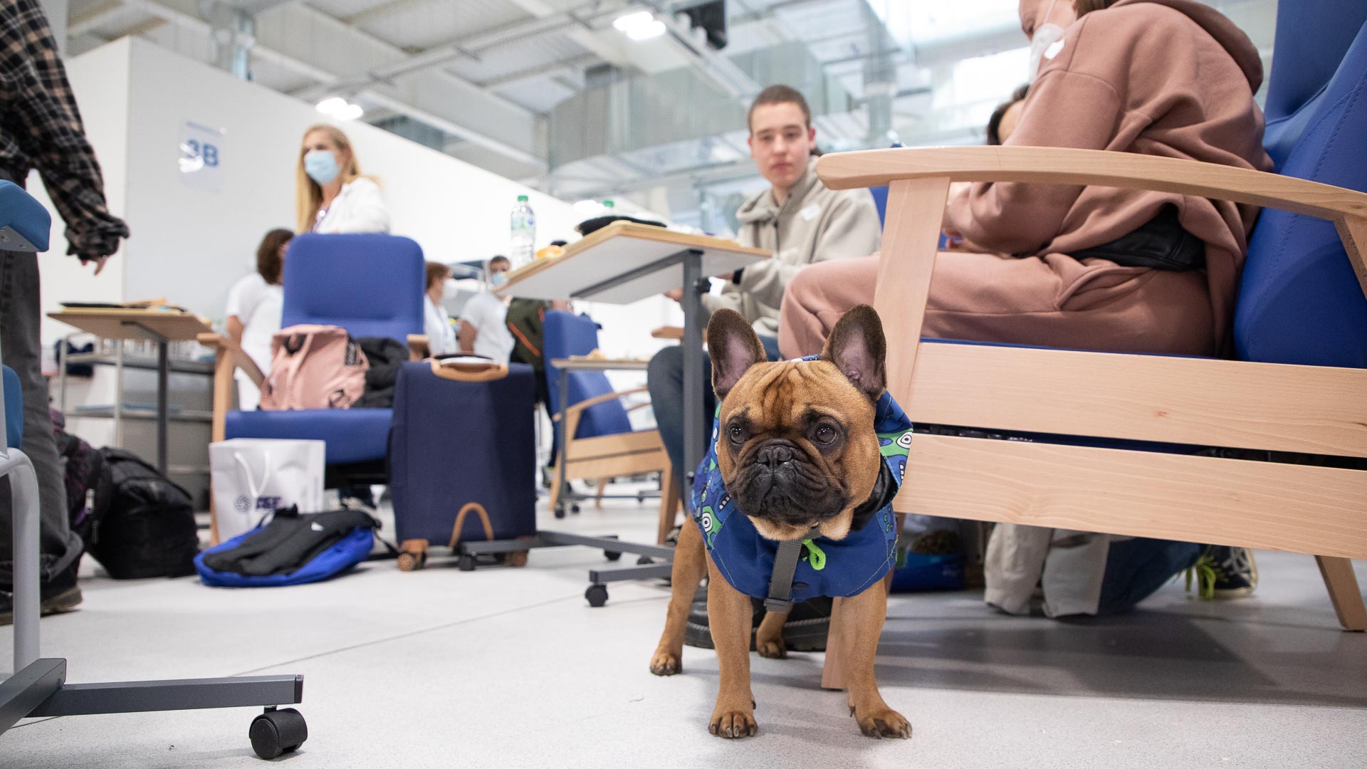 convoy humanitario fundación AFE