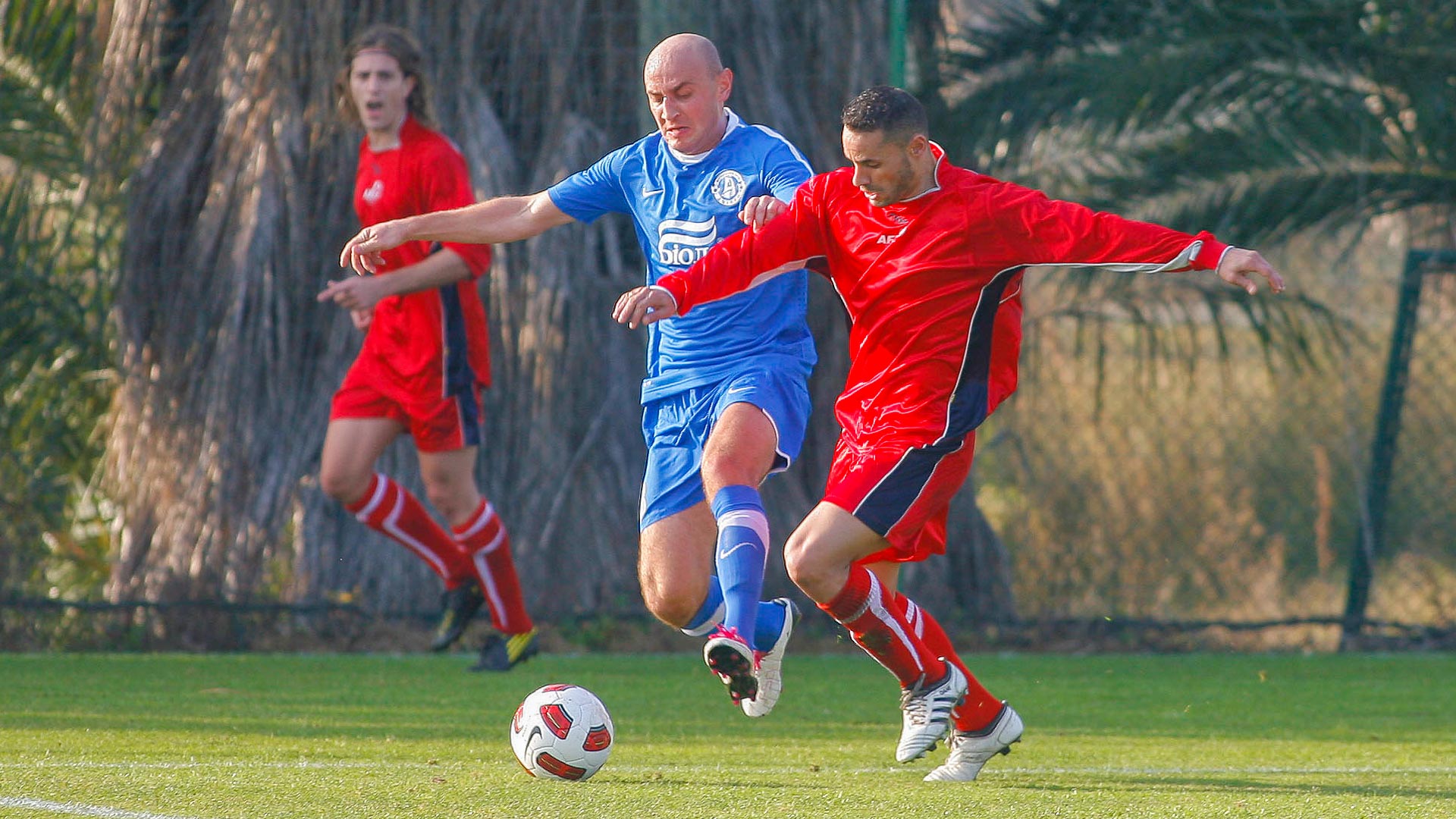 SESIONES AFE I - 2011