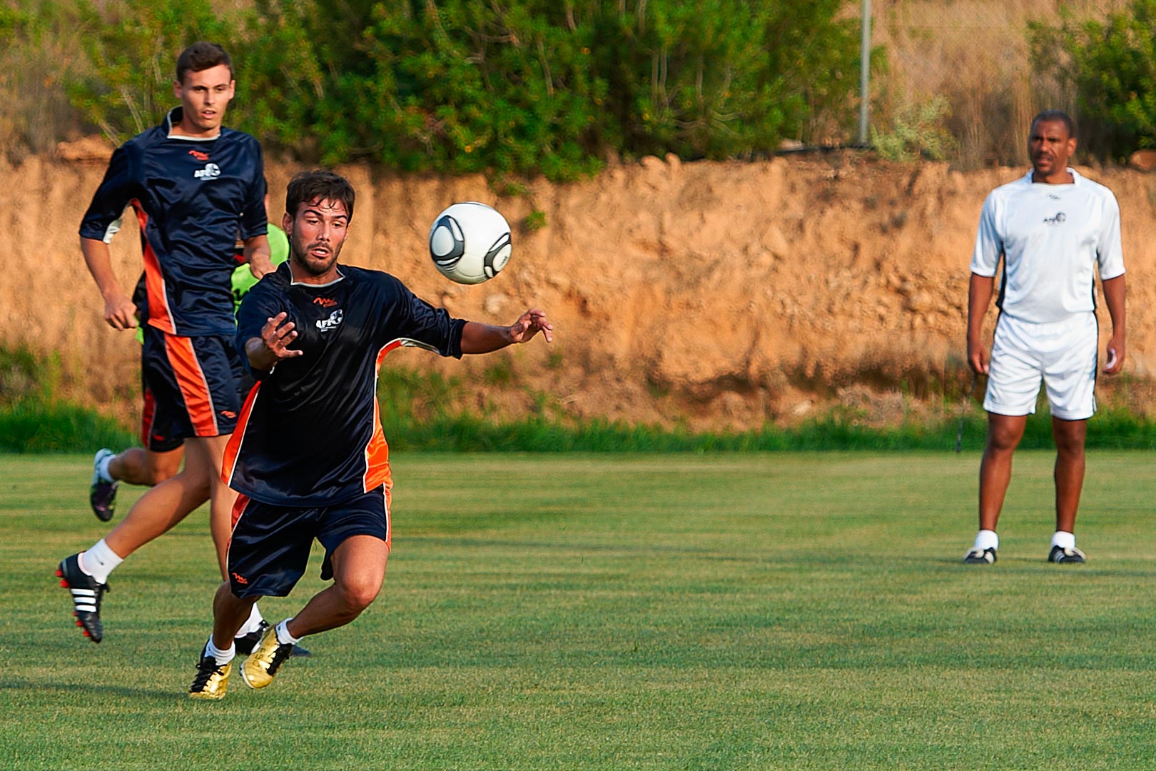 SESIONES AFE II - 2011