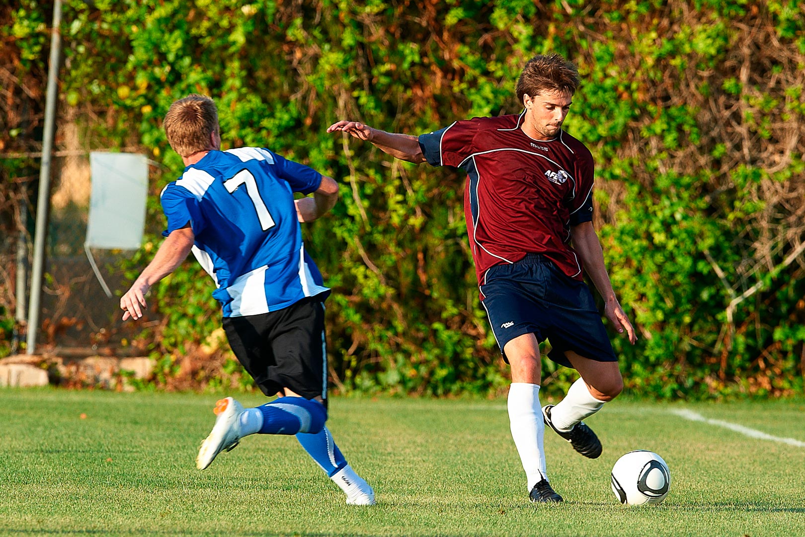 SESIONES AFE II - 2011