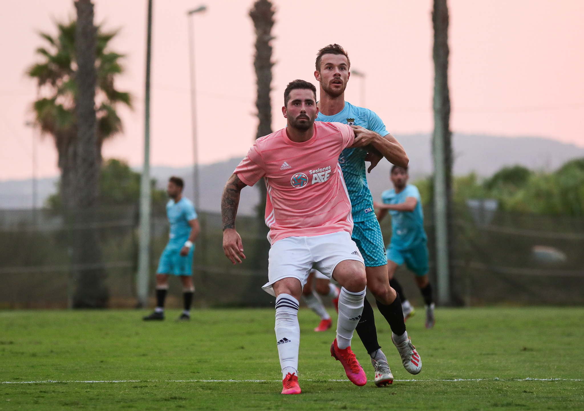 Toto - Sesiones AFE XXIX