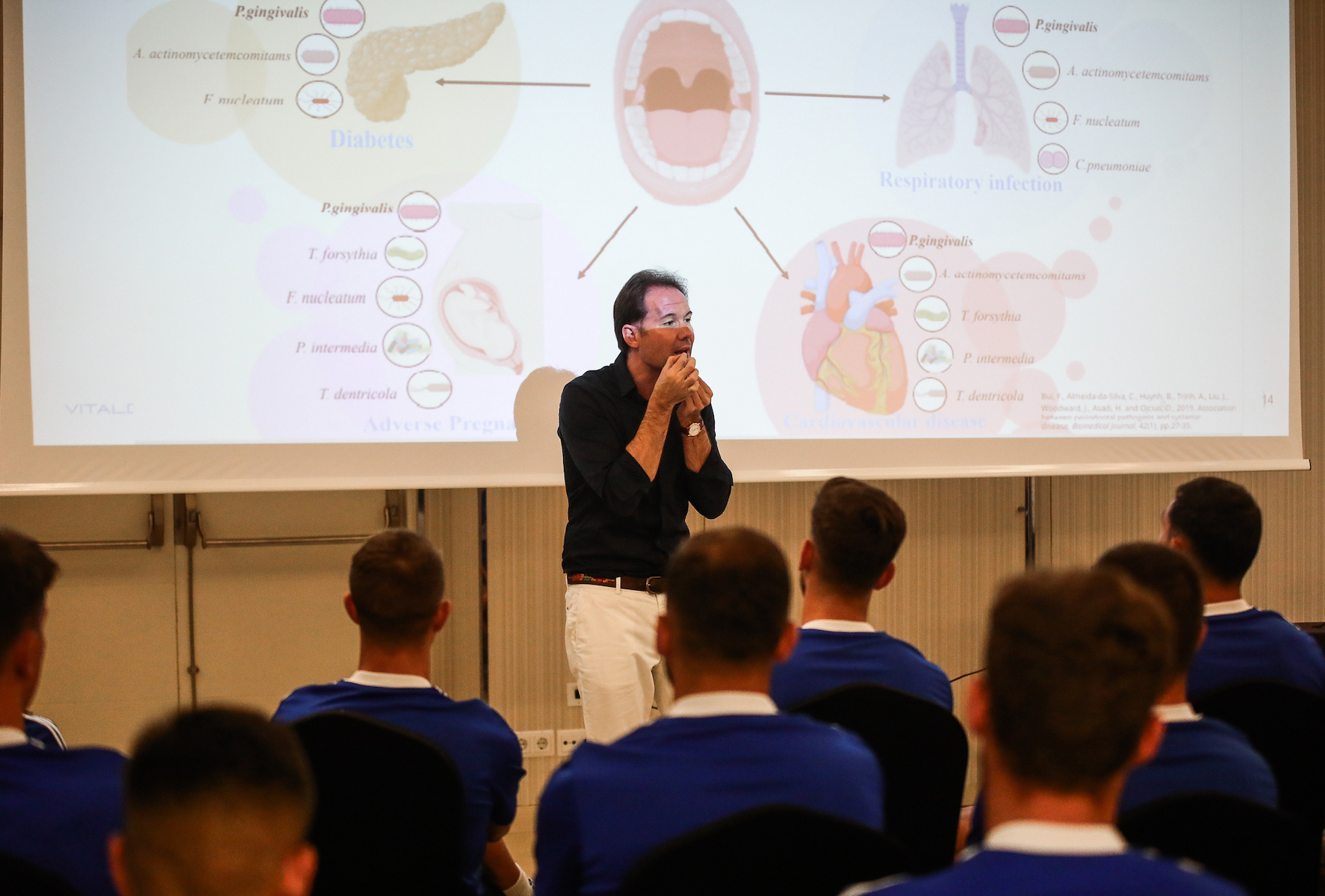 Vitaldent - Sesiones AFE XXVIII