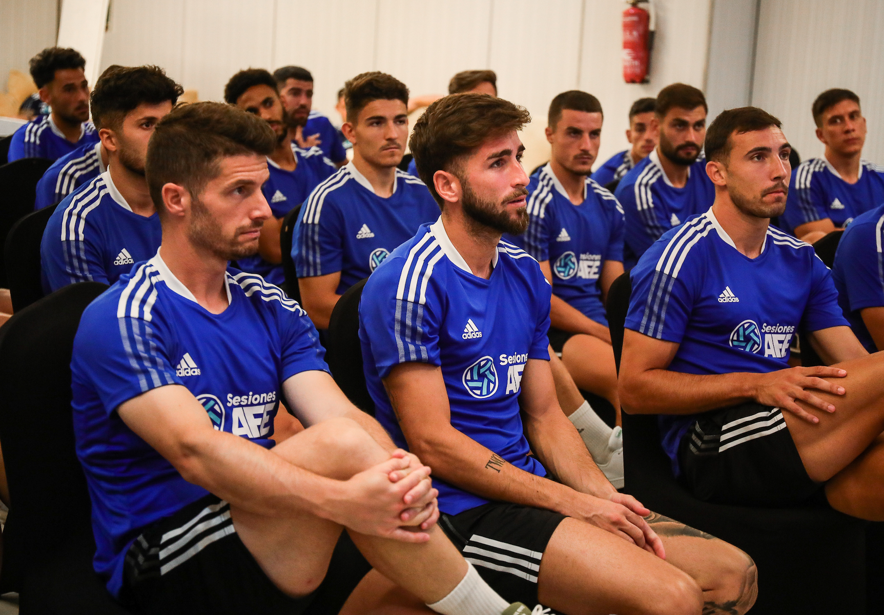 Vitaldent - Sesiones AFE XXVIII