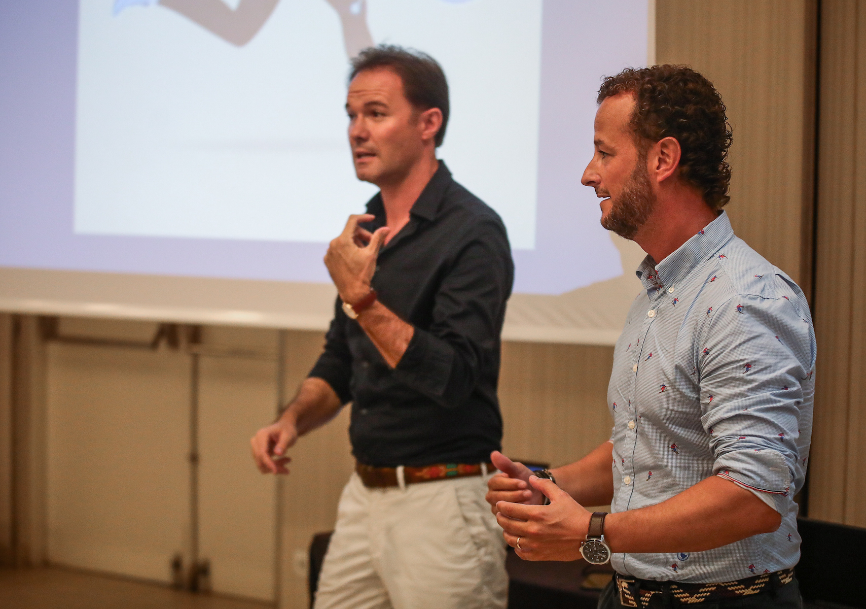 Vitaldent - Sesiones AFE XXVIII