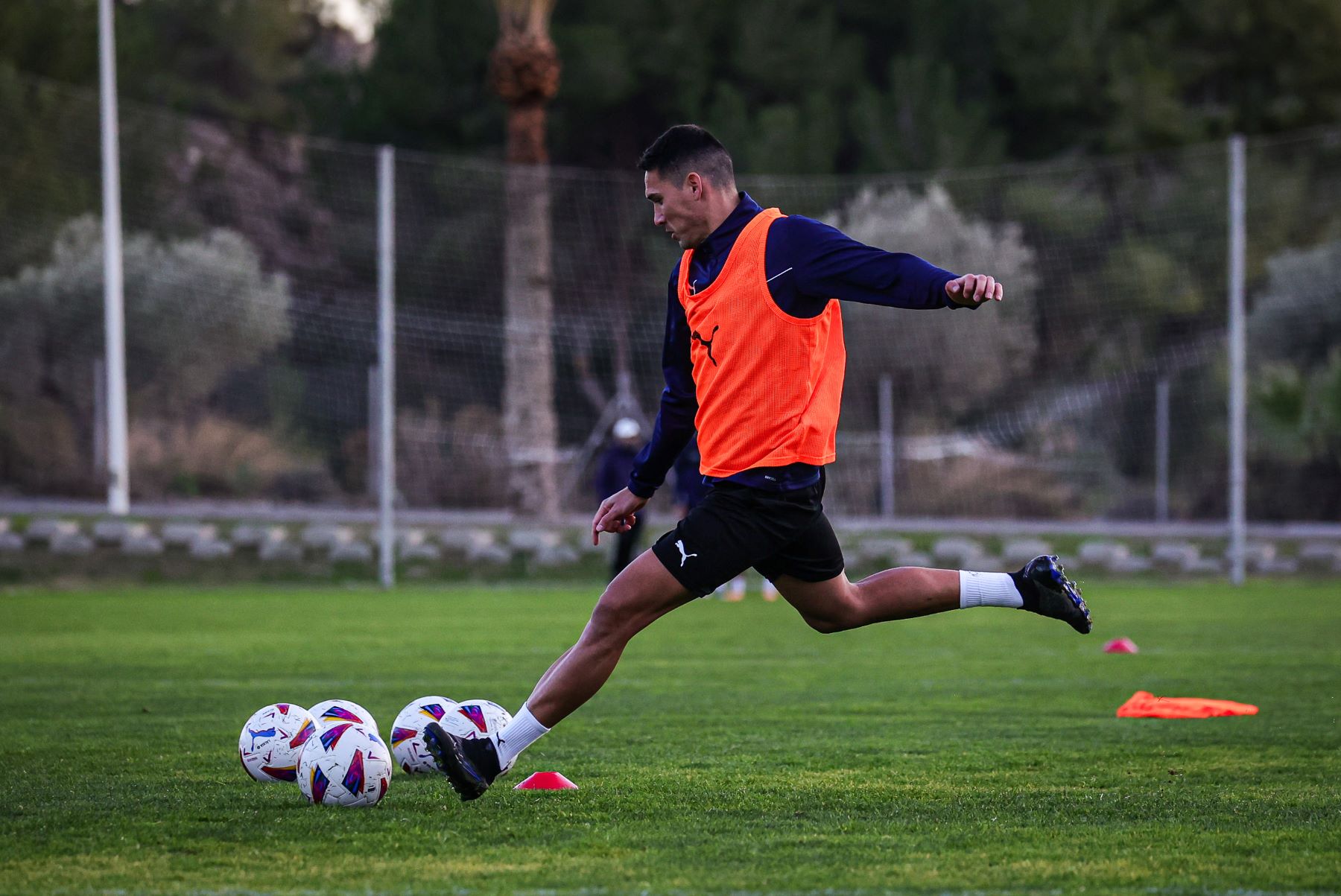 Ale Zambrano - Sesiones AFE 33